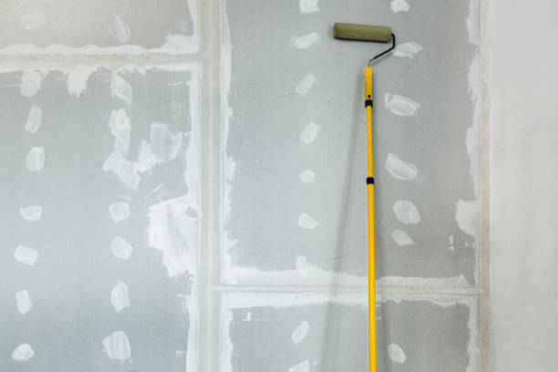 Best Mold Odor Removal Services  in Amberley, OH