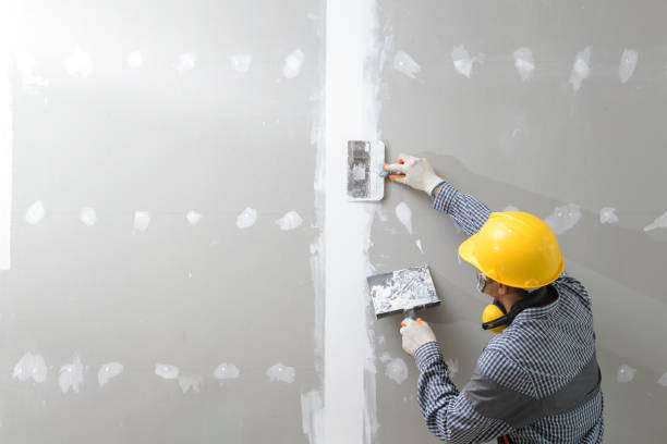 Best Real Estate Mold Inspection  in Amberley, OH