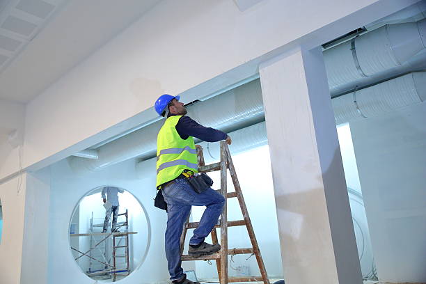 Best Black Mold Removal  in Amberley, OH